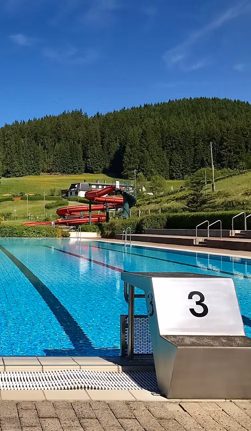 Schwimmbad bei Steinach